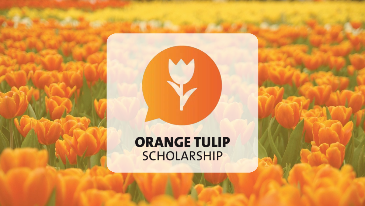 Orange Tulip Scholarship (OTS) 2026: Study For Free orange tulip scholarship 2025